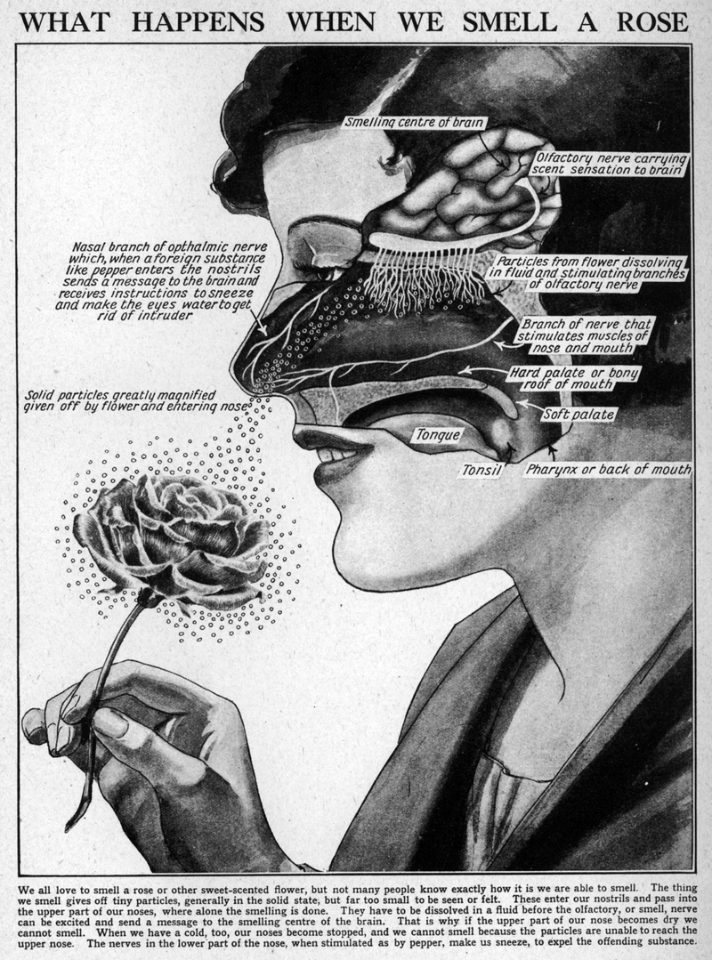 Illustration for article titled Your Body, the Machine... Literally